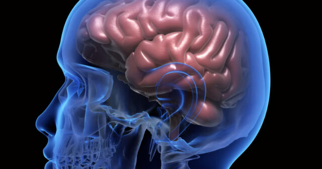 media-inshot_20260420_164728032