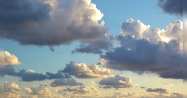 media-inshot_20260421_133813463