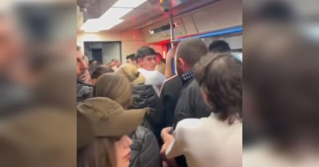 media-inshot_20260421_141035236