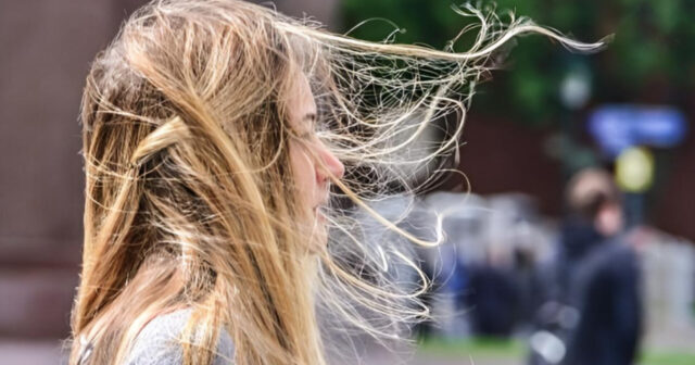 media-inshot_20260423_120457923
