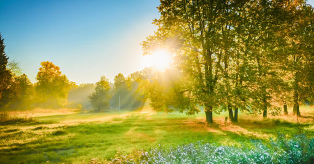 media-inshot_20260423_135331385