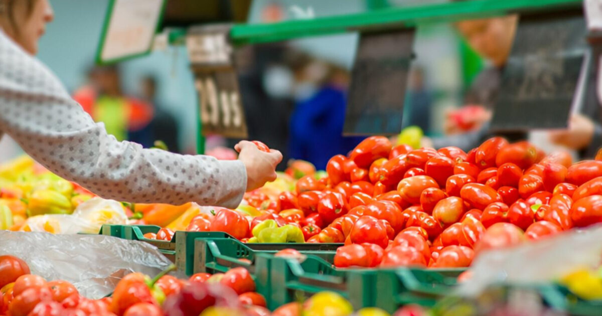 media-inshot_20260423_152334889