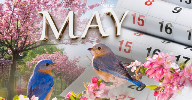 media-inshot_20260427_112407364