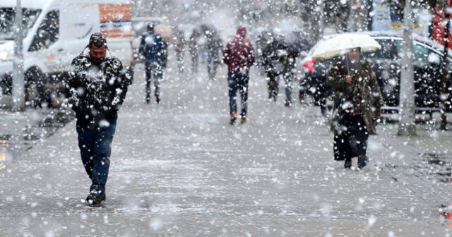 media-inshot_20260429_123937378