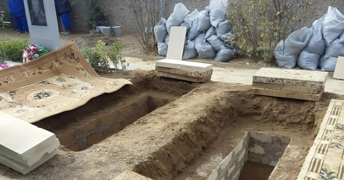 media-inshot_20260429_141238659