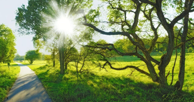 media-inshot_20260430_140706077