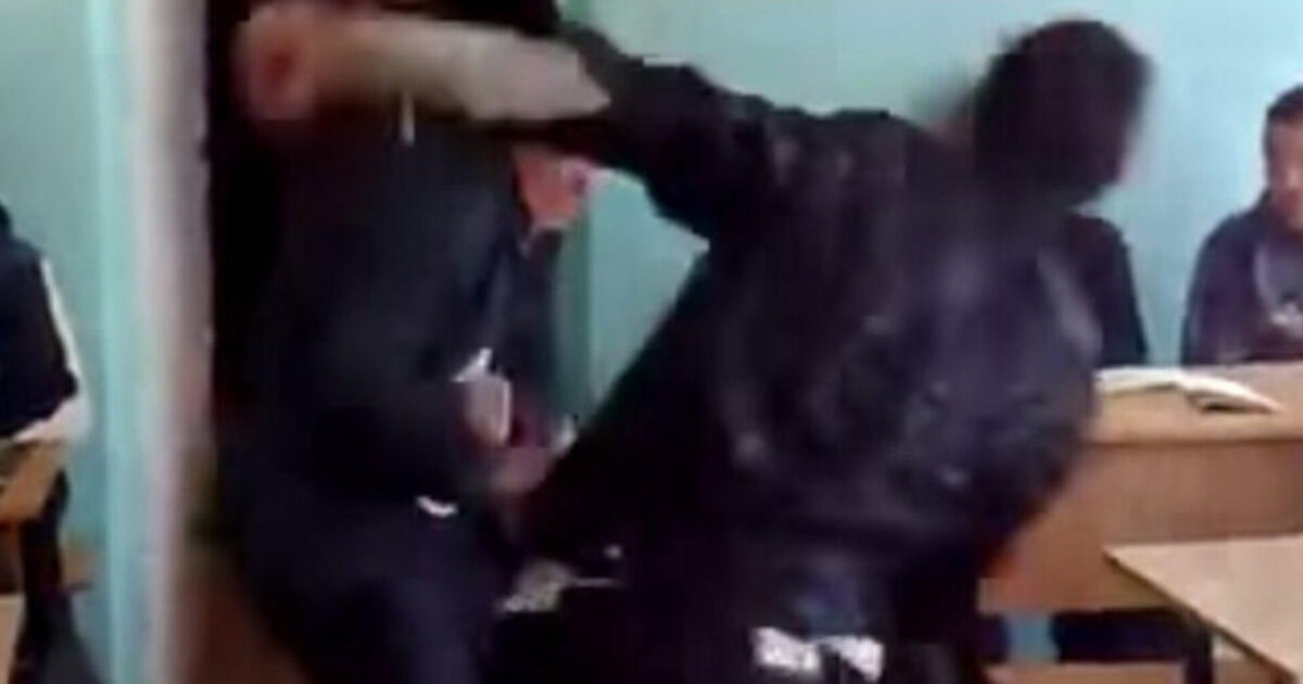 media-inshot_20260430_145343026