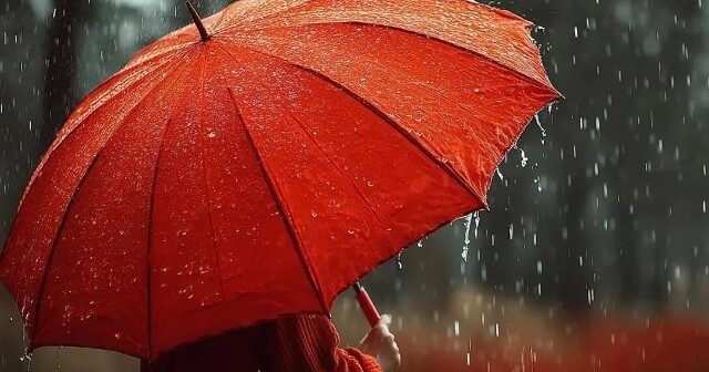 media-1779025434_1778998066_1774505979_whats-app-image-2025-09-21-at-115529