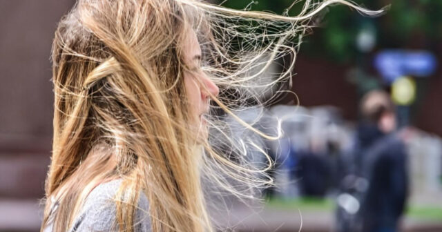 media-inshot_20260501_103810234