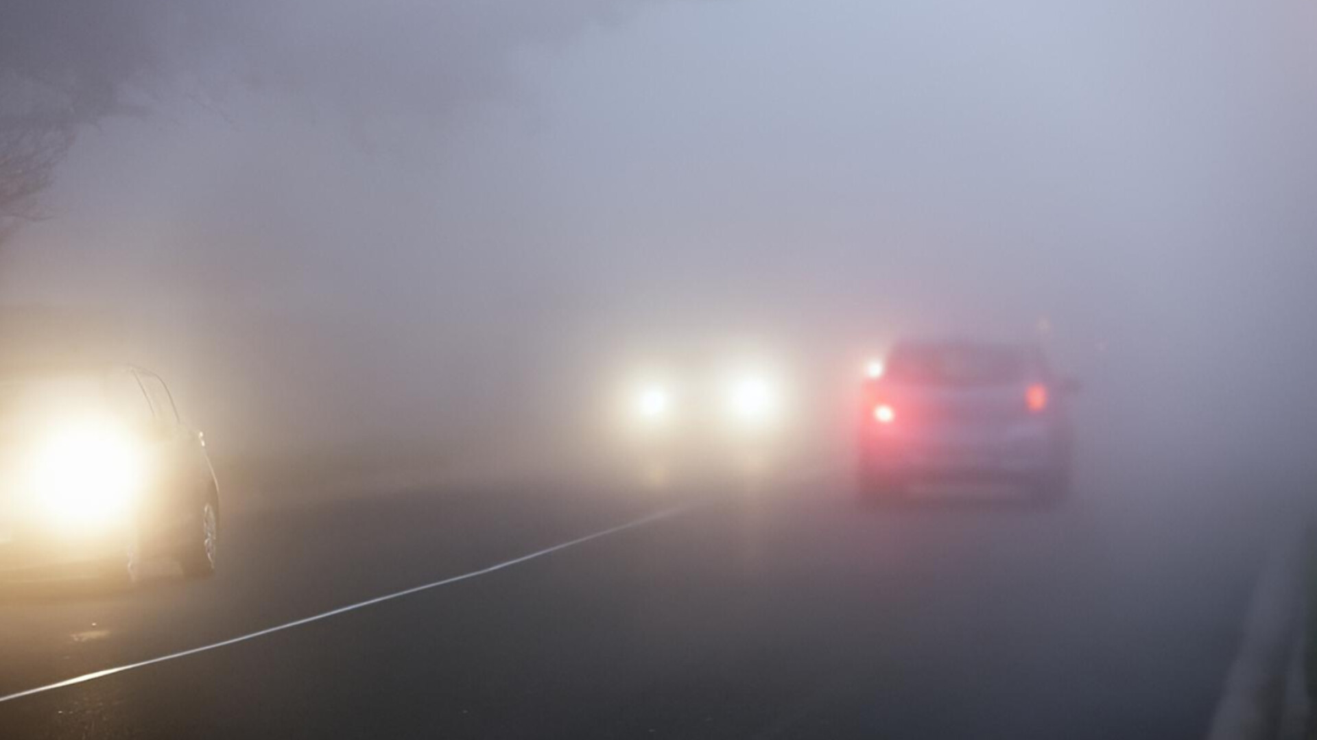 media-inshot_20260503_174521213