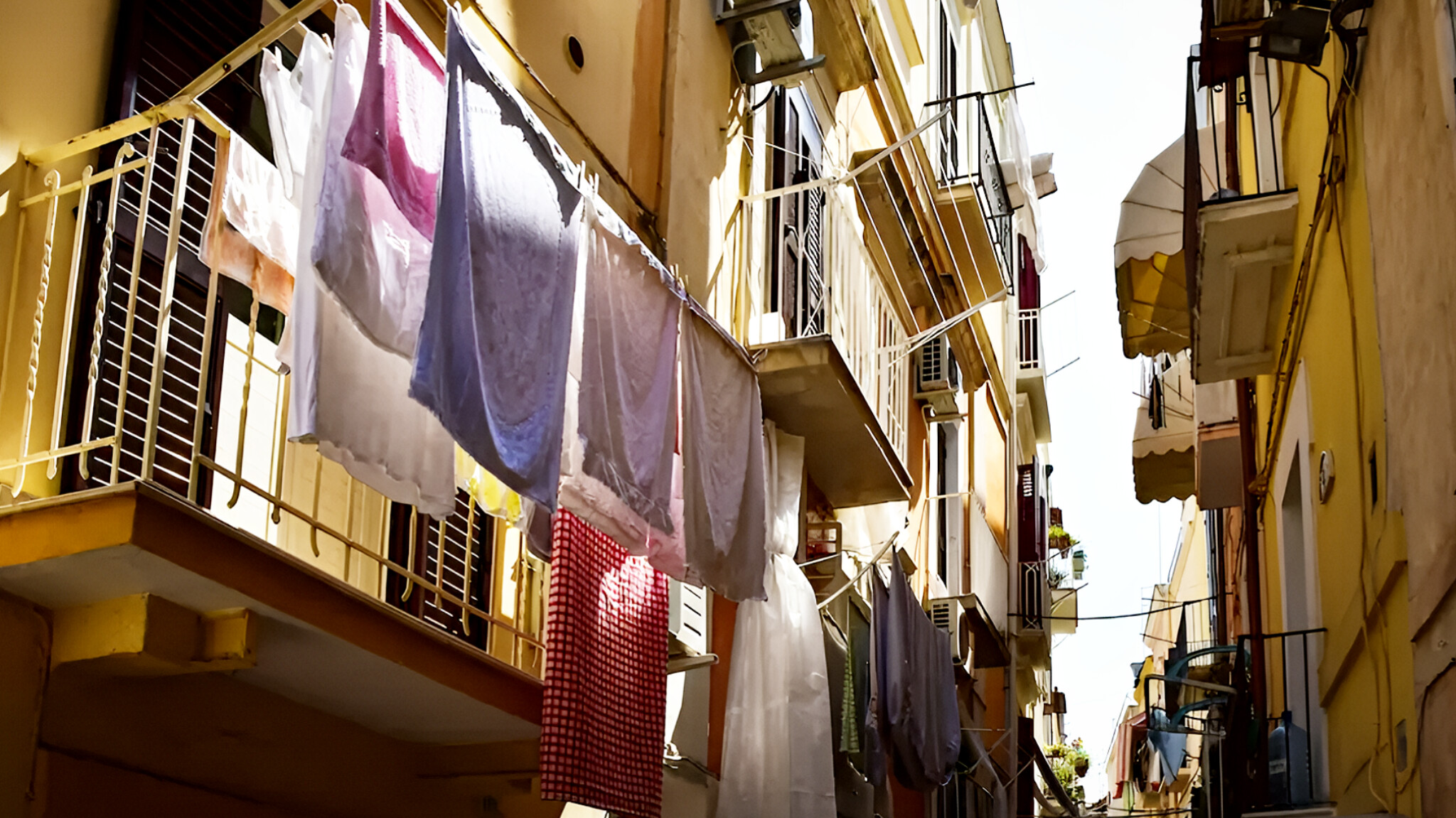 media-inshot_20260515_095446405