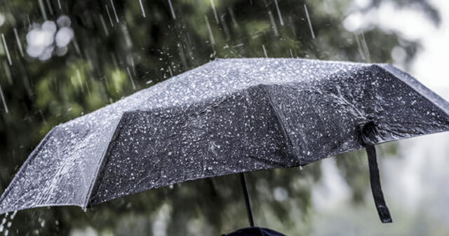 media-inshot_20260517_121332578