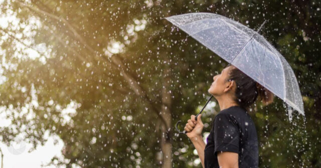 media-inshot_20260525_103104113