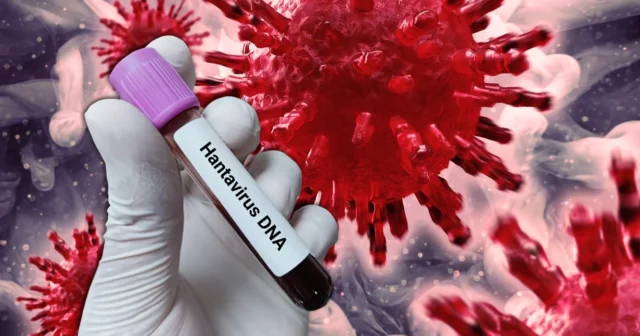 media-insandan-insana-bulasabiliyor-sadece-yanindan-gecmek-bile-yetiyor-dunyada-olumcul-hantavirus-alarmi-m02c