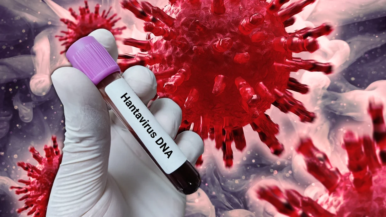media-insandan-insana-bulasabiliyor-sadece-yanindan-gecmek-bile-yetiyor-dunyada-olumcul-hantavirus-alarmi-m02c