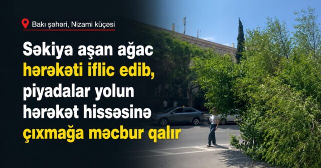 media-0764ac86-95ff-4654-b765-56ad48a83868