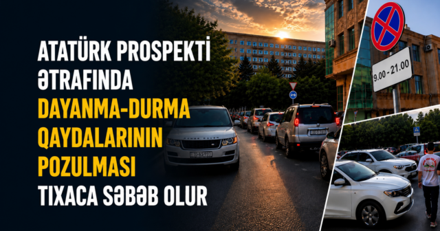 media-0a652593-42cc-4a1e-9033-34d7ae25a39a