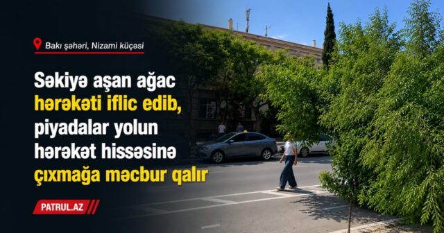 media-14f0bf10-1796-4798-a782-99d6d7a783a7