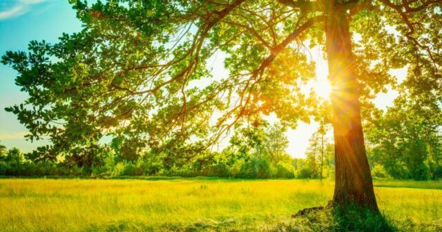 media-1687023841_june-solstice-ten-things