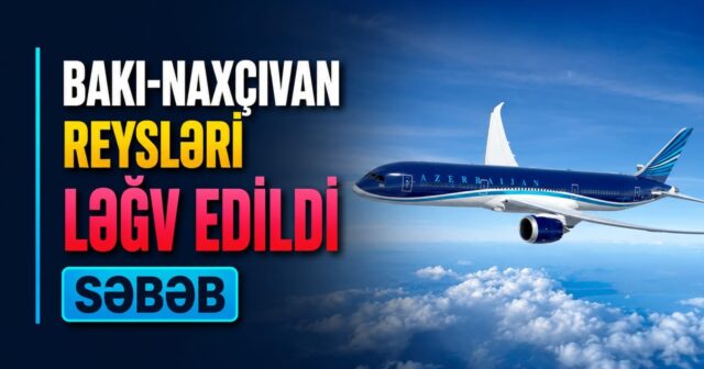media-43c779d8-c10c-4b7f-9542-41a1e6d5d6e4