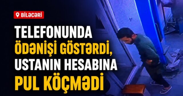 media-67a39a2e-ca90-4cb1-ba82-c31536cf57c8