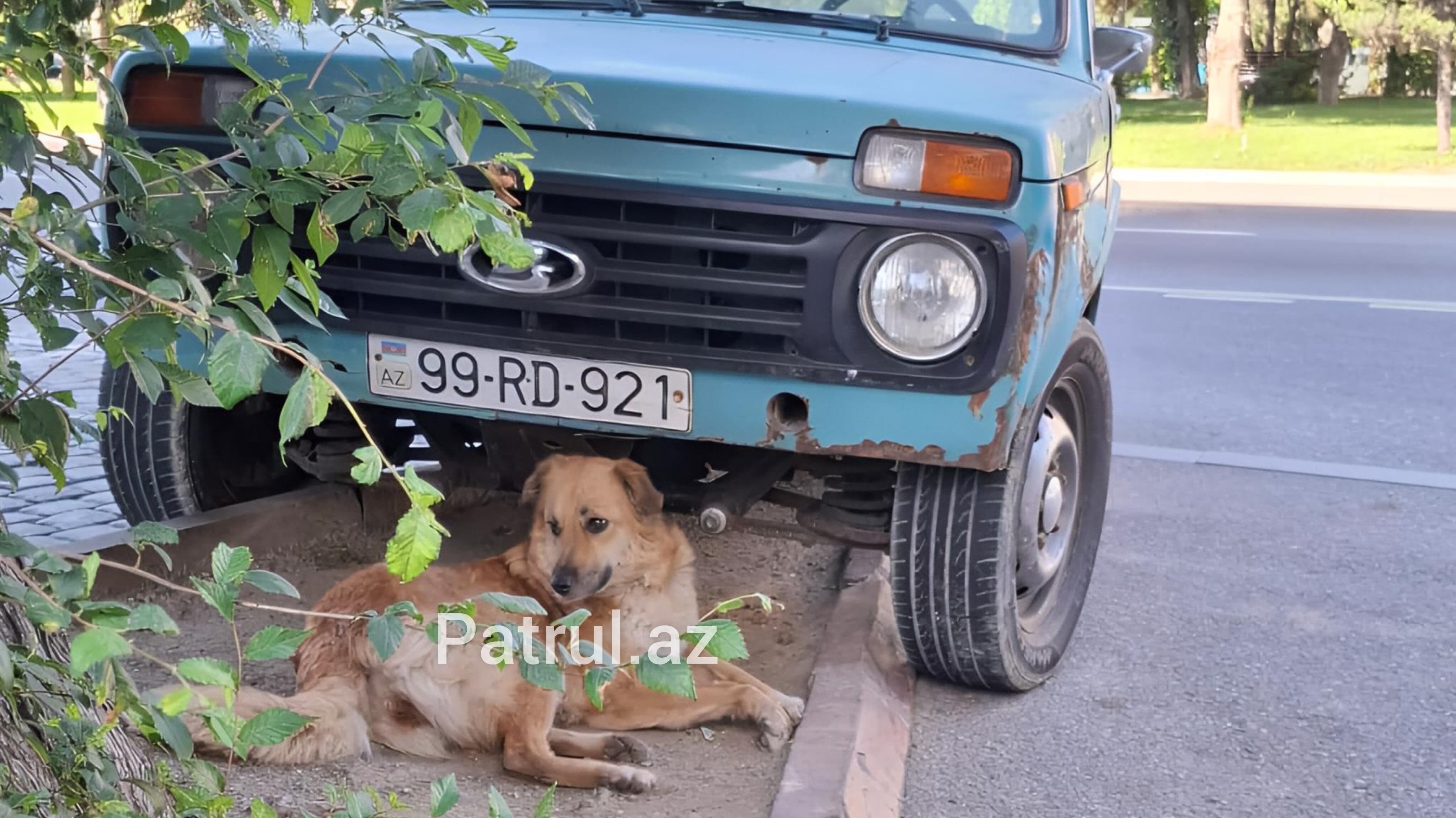 media-9bd64b42-8727-4903-8f38-bb4d4037e1f5