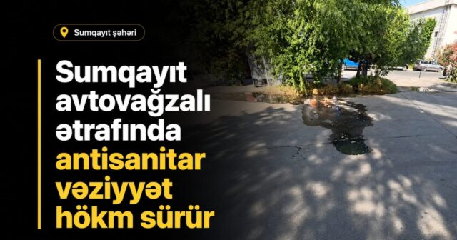 media-ad7f6898-dc0d-45b4-8c7a-3cc729a0d97d