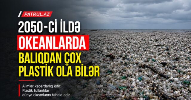 media-c5c8475b-6702-44c4-826f-f3db59a2c7e0