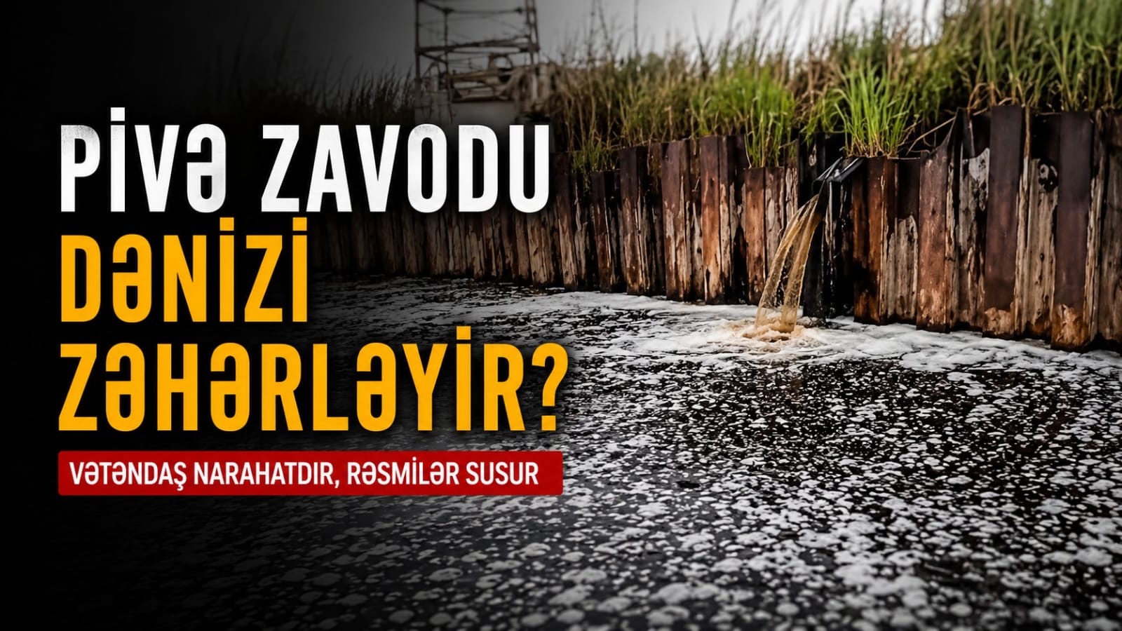 media-ccddc590-d78c-4ccb-b6c1-d27c79db351e