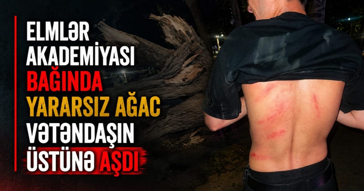 media-29417b0f-d00a-4ce9-8a2b-da01298893f3