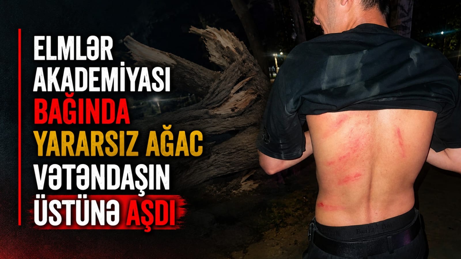 media-29417b0f-d00a-4ce9-8a2b-da01298893f3