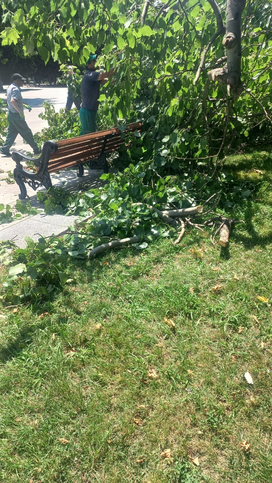 media-img-20260710-wa0025