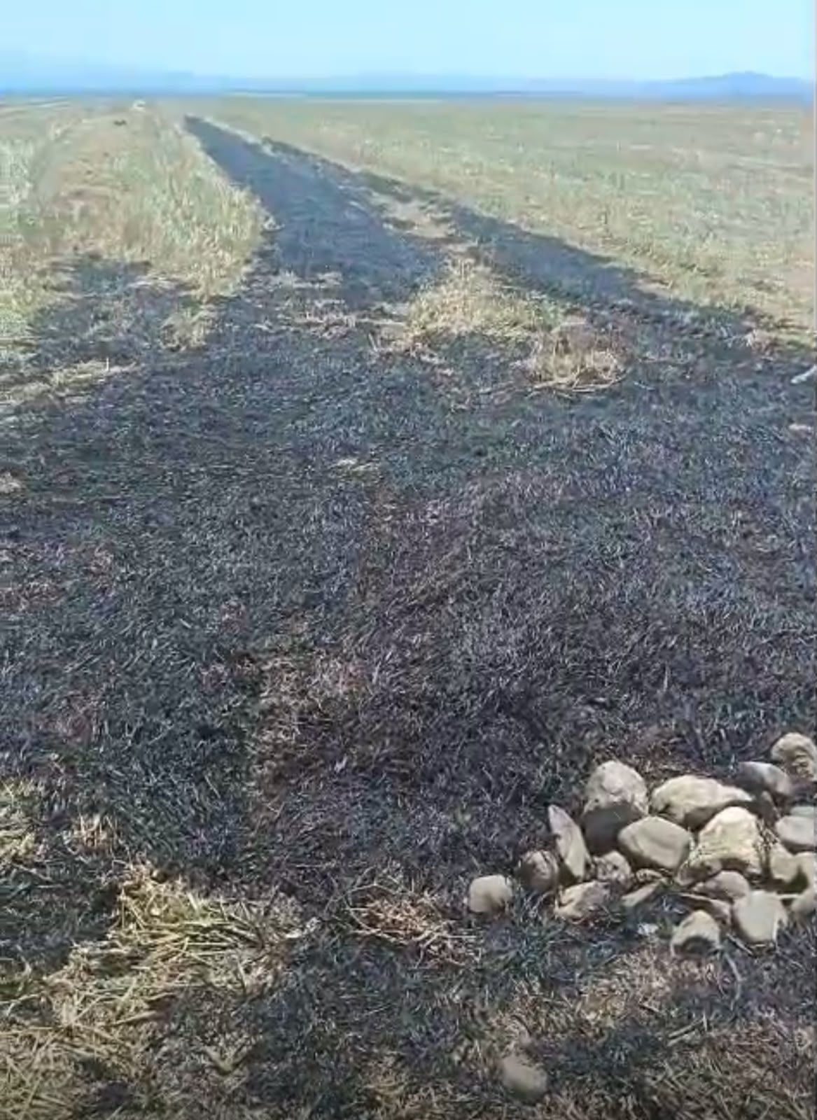 media-img-20260724-wa0027