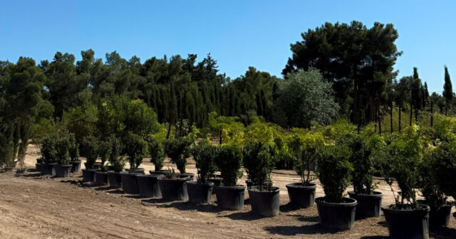 media-inshot_20260721_113514450