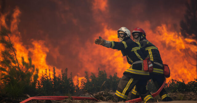 media-inshot_20260728_094252292