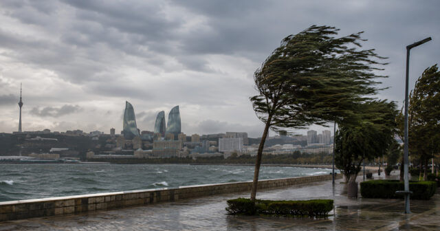 media-inshot_20260728_105852378