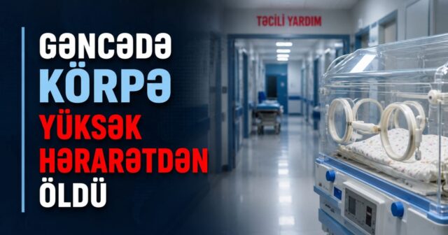 media-korpe