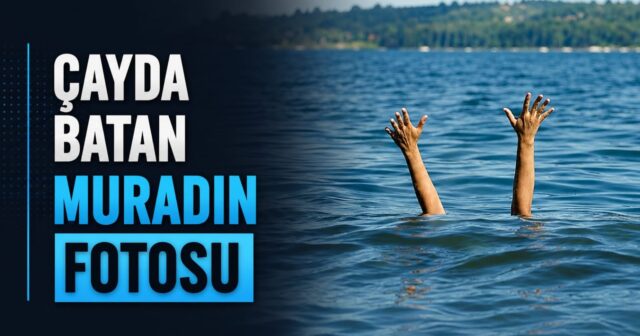 media-murad
