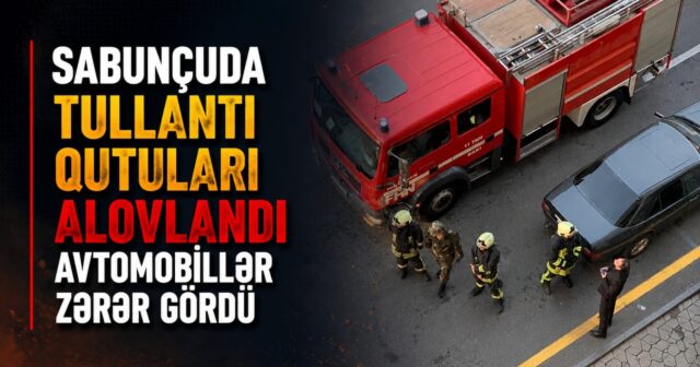 media-qutu