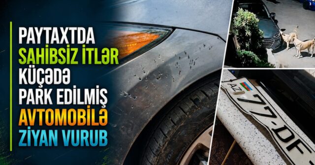 media-bb2246fc-256c-4025-8073-c8a222546fa2