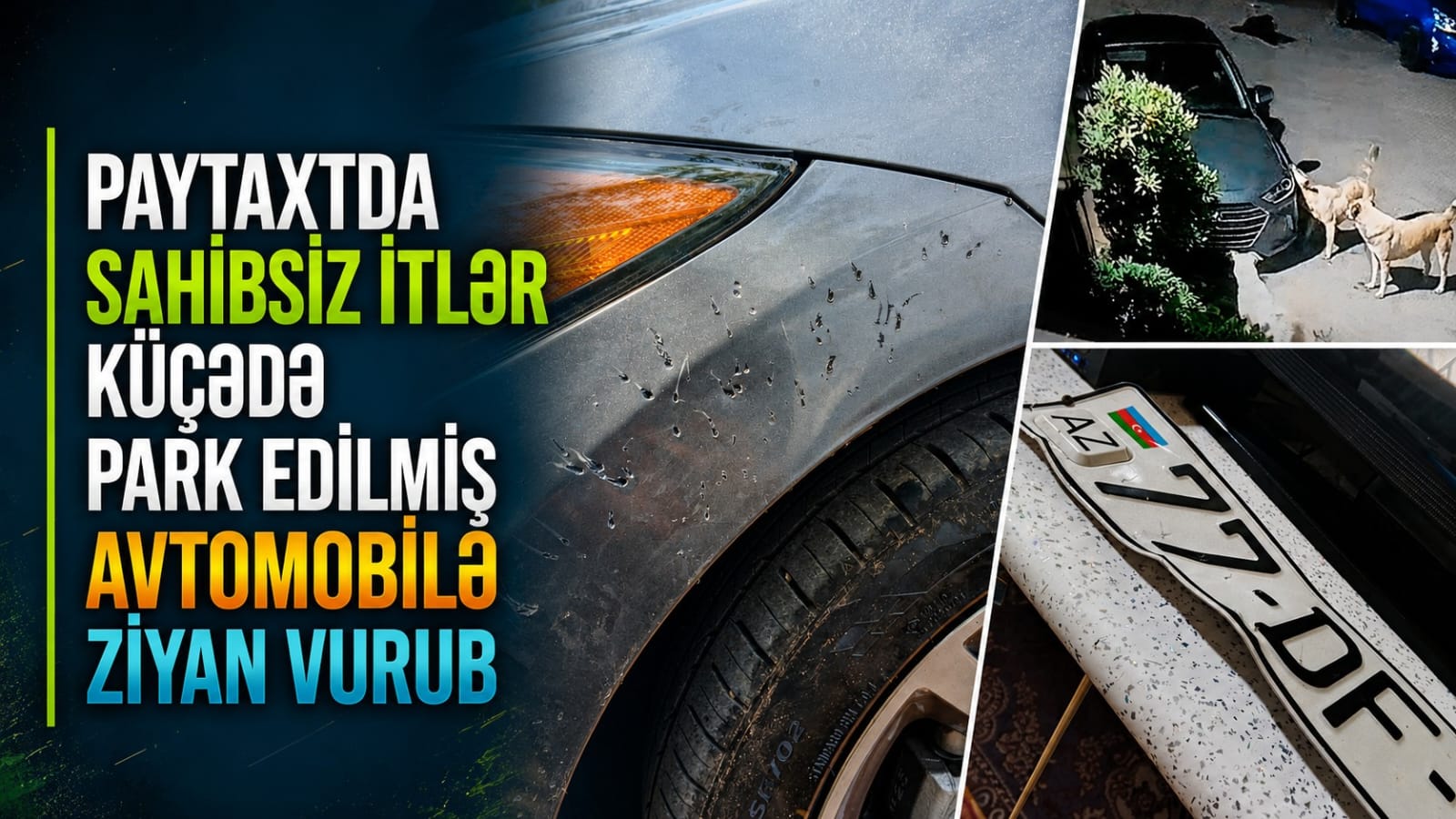 media-bb2246fc-256c-4025-8073-c8a222546fa2