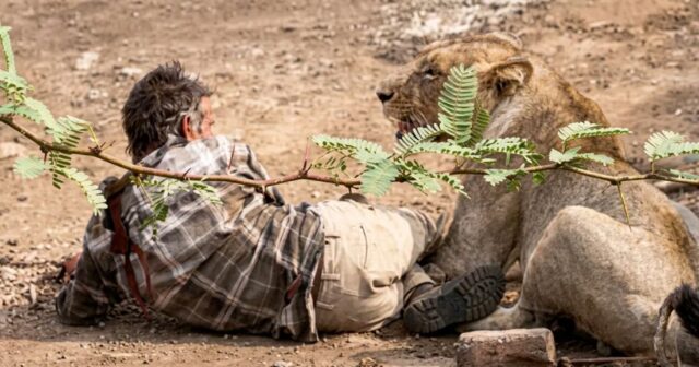 media-lion-attack_exofgg2cgz